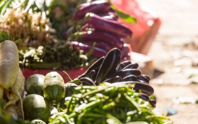 Nace la Red de Impulso a la pequeña Transformación Alimentaria (RITA)