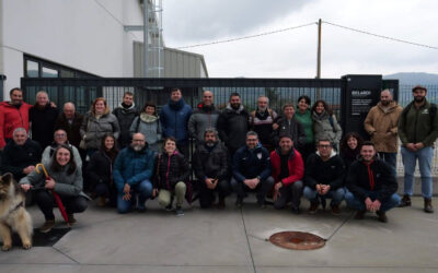 Iniciativas colectivas de transformación cárnica: todo un ejemplo de innovación a pequeña escala